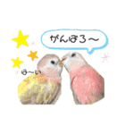 ザ・ピートルズ⓪（個別スタンプ：19）