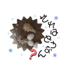 ザ・ピートルズ⓪（個別スタンプ：27）
