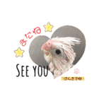 ザ・ピートルズ⓪（個別スタンプ：31）