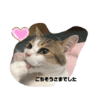 momocyan1（個別スタンプ：2）