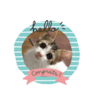 momocyan1（個別スタンプ：5）