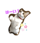 momocyan1（個別スタンプ：9）