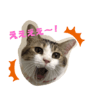 momocyan2（個別スタンプ：2）