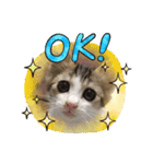 momocyan2（個別スタンプ：6）
