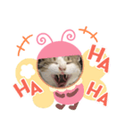 momocyan2（個別スタンプ：7）