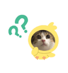 momocyan2（個別スタンプ：8）