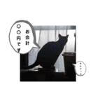横山家のお猫様3"仕事用"（個別スタンプ：6）