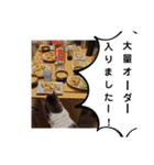 横山家のお猫様3"仕事用"（個別スタンプ：8）