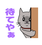 世紀末猫（個別スタンプ：8）