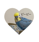 ちょぴんの超使いやすいスタンプ（個別スタンプ：3）