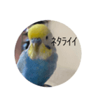 ちょぴんの超使いやすいスタンプ（個別スタンプ：4）