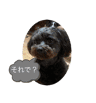 中嶋犬2withモモ（個別スタンプ：15）