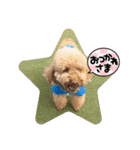 中嶋犬2withモモ（個別スタンプ：37）