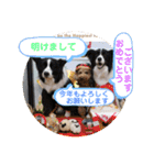 中嶋犬2withモモ（個別スタンプ：40）