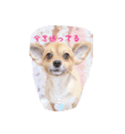 ルーカス8888（個別スタンプ：1）