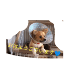 ルーカス8888（個別スタンプ：5）