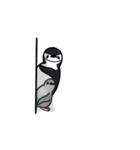 ヒゲペンギンの大きめ文字スタンプ（個別スタンプ：34）