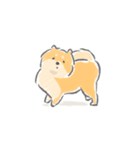 控えめにわがままも言わせて柴犬（個別スタンプ：2）