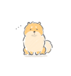 控えめにわがままも言わせて柴犬（個別スタンプ：3）