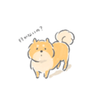 控えめにわがままも言わせて柴犬（個別スタンプ：4）