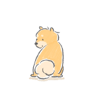 控えめにわがままも言わせて柴犬（個別スタンプ：5）