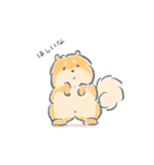 控えめにわがままも言わせて柴犬（個別スタンプ：7）