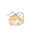 控えめにわがままも言わせて柴犬（個別スタンプ：8）
