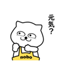 白クマ nobo 1（個別スタンプ：20）