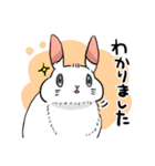 うさぎのちよまる（個別スタンプ：3）