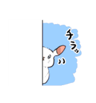 うさぎのちよまる（個別スタンプ：8）