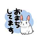 うさぎのちよまる（個別スタンプ：13）