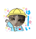 サスケくん挨拶（個別スタンプ：3）