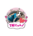 サスケくん挨拶（個別スタンプ：14）