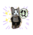 サスケくん挨拶（個別スタンプ：15）