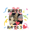 サスケの日々（個別スタンプ：11）