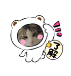 サスケの日々（個別スタンプ：12）