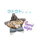 しじみの日常③（個別スタンプ：2）