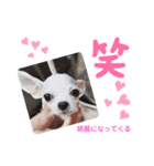しじみの日常③（個別スタンプ：3）