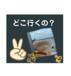 しじみの日常③（個別スタンプ：5）