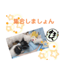 しじみの日常③（個別スタンプ：8）
