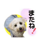 kanna.No.1（個別スタンプ：2）