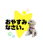 kanna.No.1（個別スタンプ：4）