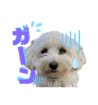 kanna.No.1（個別スタンプ：5）