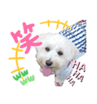 kanna.No.1（個別スタンプ：7）