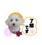 kanna.No.1（個別スタンプ：8）