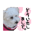 kanna.No.1（個別スタンプ：10）
