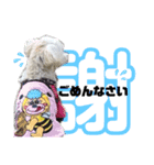 kanna.No.1（個別スタンプ：13）