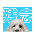 kanna.No.1（個別スタンプ：15）