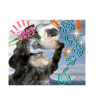 ねねこ☆にゃ美さん♡うさぴょん実写〜背景（個別スタンプ：24）