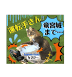 ねねこ☆にゃ美さん♡うさぴょん実写〜背景（個別スタンプ：35）